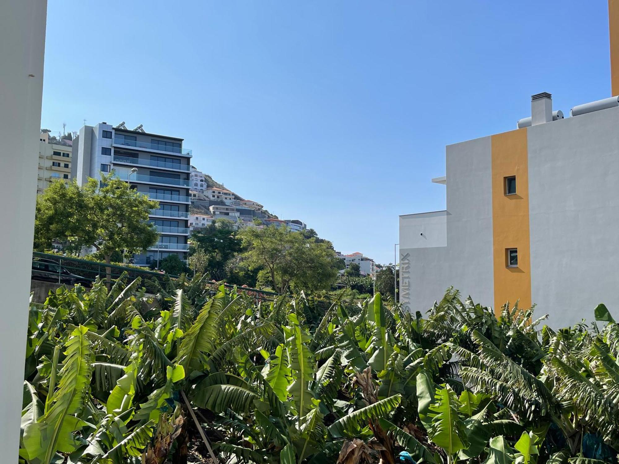 Beach&Comfort Cozy Apartment By The Ocean Funchal  Ngoại thất bức ảnh